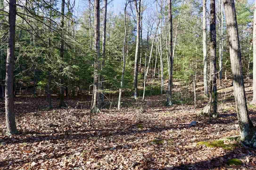 Tbd Stoll Road Saugerties, NY 12477 - Photo 21 of 28 Photo 22