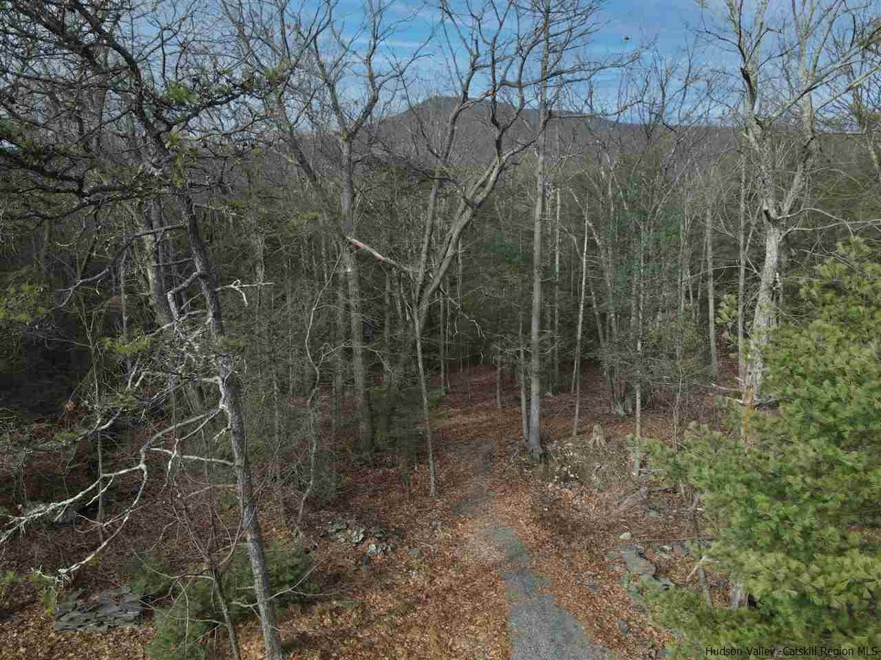 Tbd Stoll Road Saugerties, NY 12477 - Photo 22 of 28 Photo 23