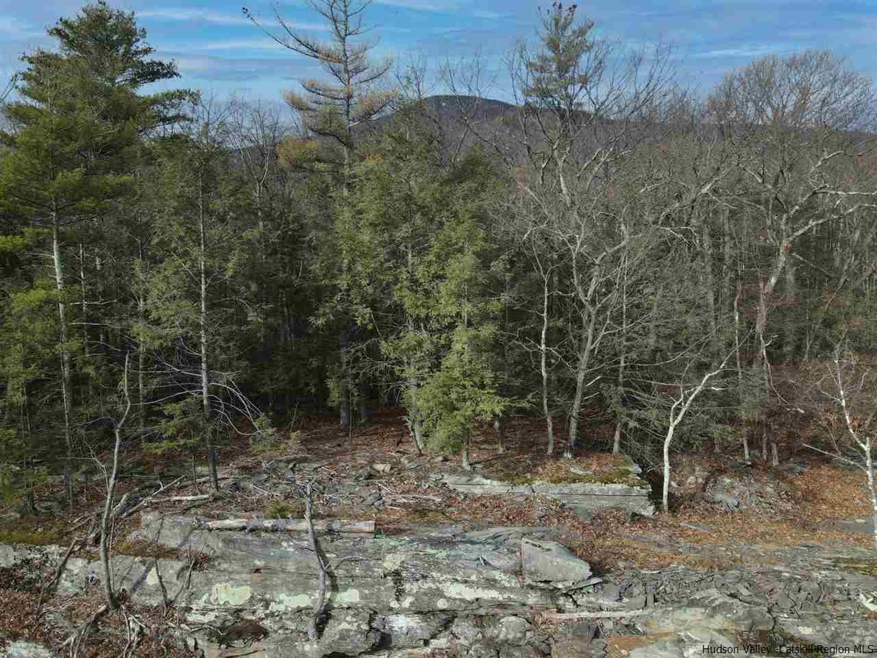Tbd Stoll Road Saugerties, NY 12477 - Photo 26 of 28 Photo 27