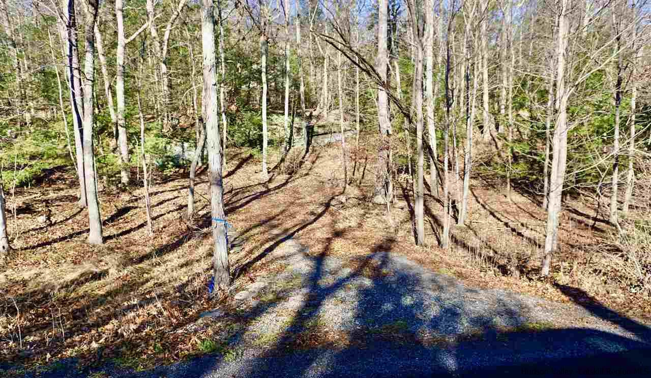 Tbd Stoll Road Saugerties, NY 12477 - Photo 3 of 28 Photo 3