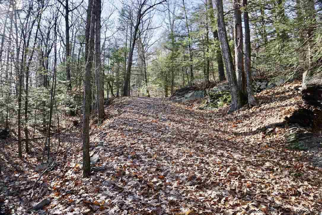 Tbd Stoll Road Saugerties, NY 12477 - Photo 4 of 28 Photo 4