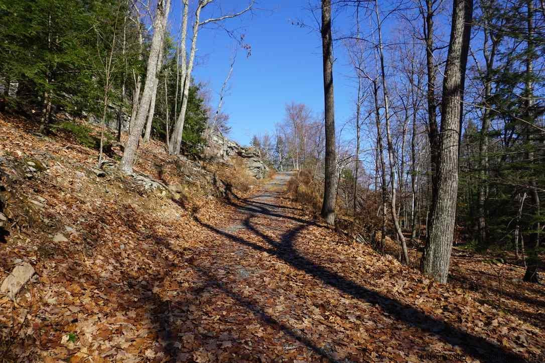 Tbd Stoll Road Saugerties, NY 12477 - Photo 5 of 28 Photo 5
