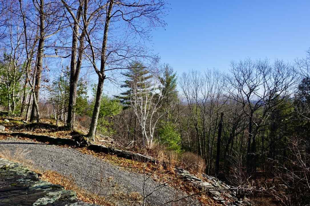Tbd Stoll Road Saugerties, NY 12477 - Photo 6 of 28 Photo 6