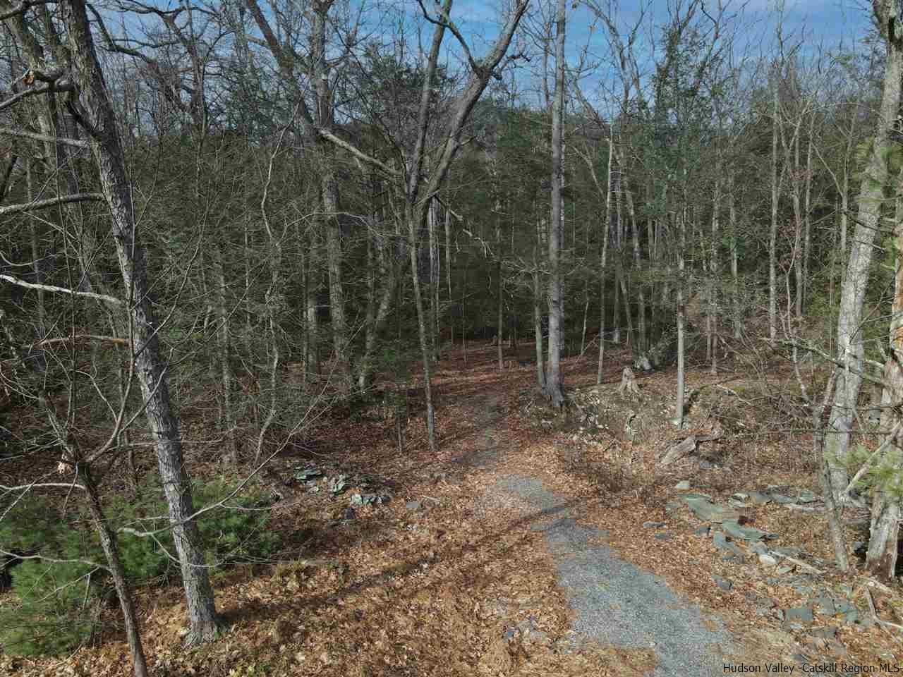 Tbd Stoll Road Saugerties, NY 12477 - Photo 8 of 28 Photo 8