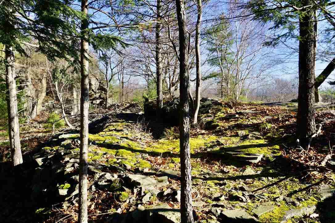 Tbd Stoll Road Saugerties, NY 12477 - Photo 9 of 28 Photo 9