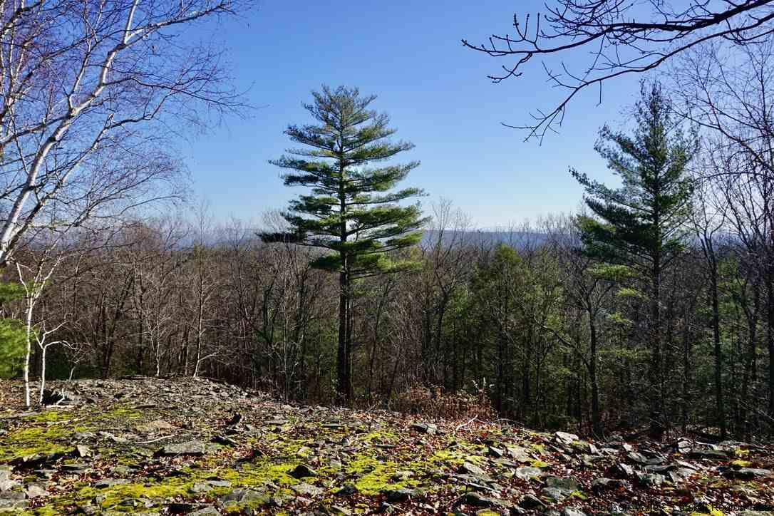 Tbd Stoll Road Saugerties, NY 12477 - Photo 10 of 28 Photo 10