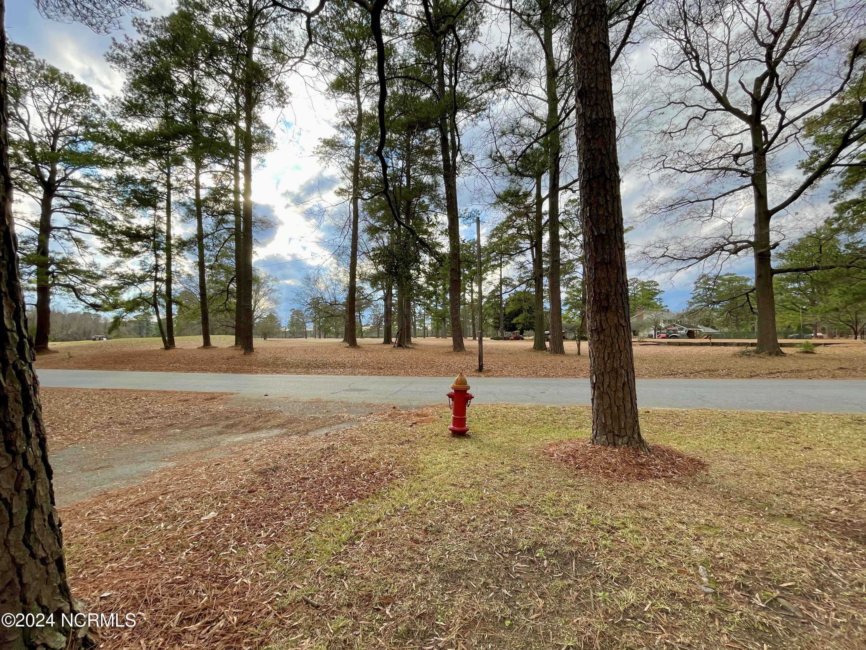 310 Golf Road Plymouth, NC 27962 - Photo 64 of 69 Looking Across The Street
