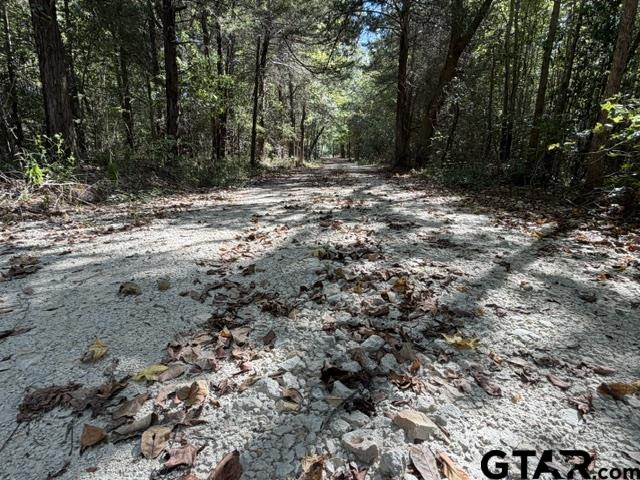 0 County Road 1206 Rusk, TX 75785 - Photo 12 of 27 Gallery Image 12