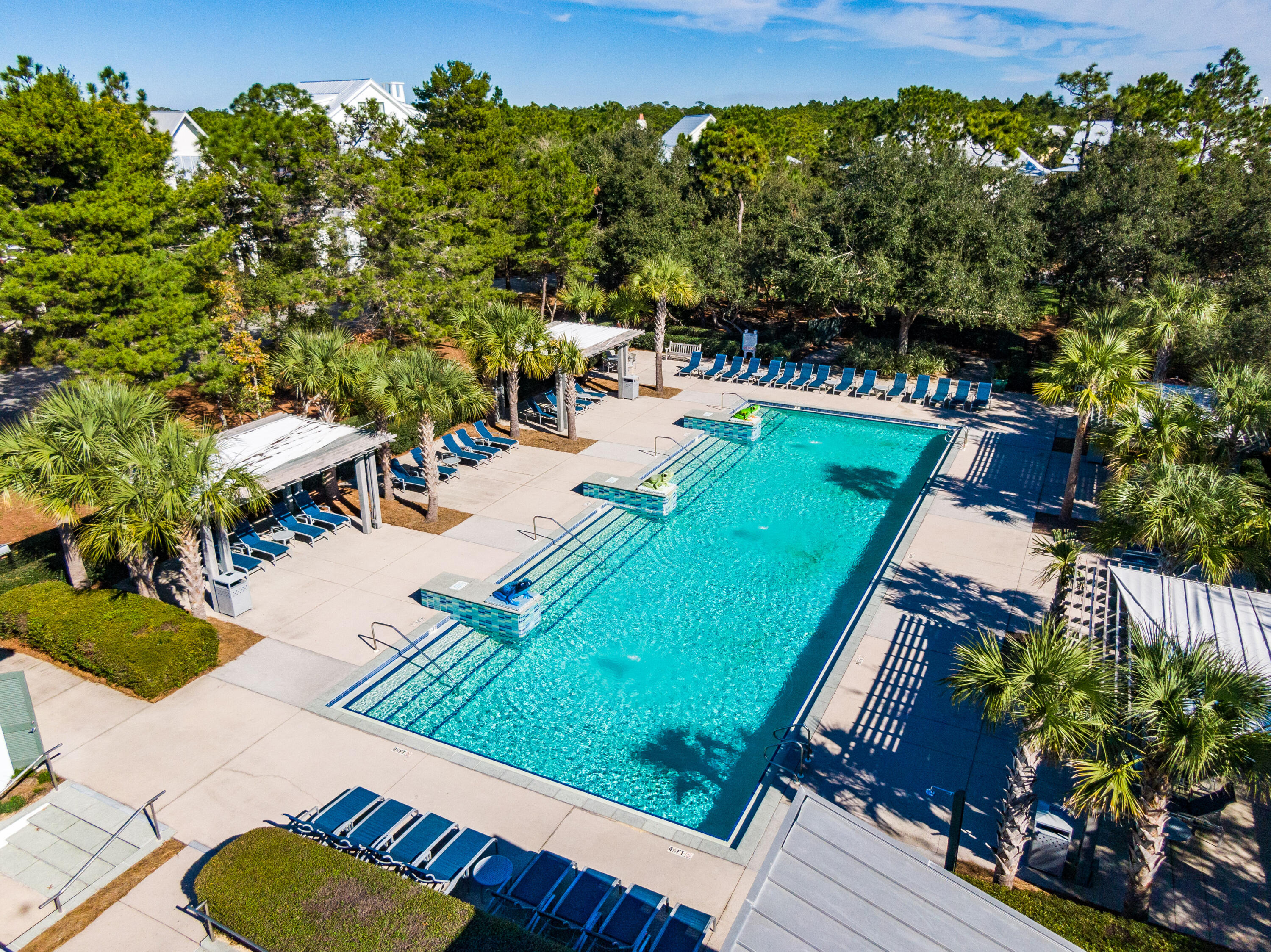 313 East Royal Fern Way Santa Rosa Beach, FL 32459 - Photo 40 of 48 a view of a backyard with plants