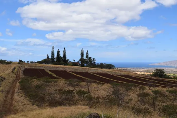 $1,353,000 | 0 Omaopio Road, Kula, HI 96790
