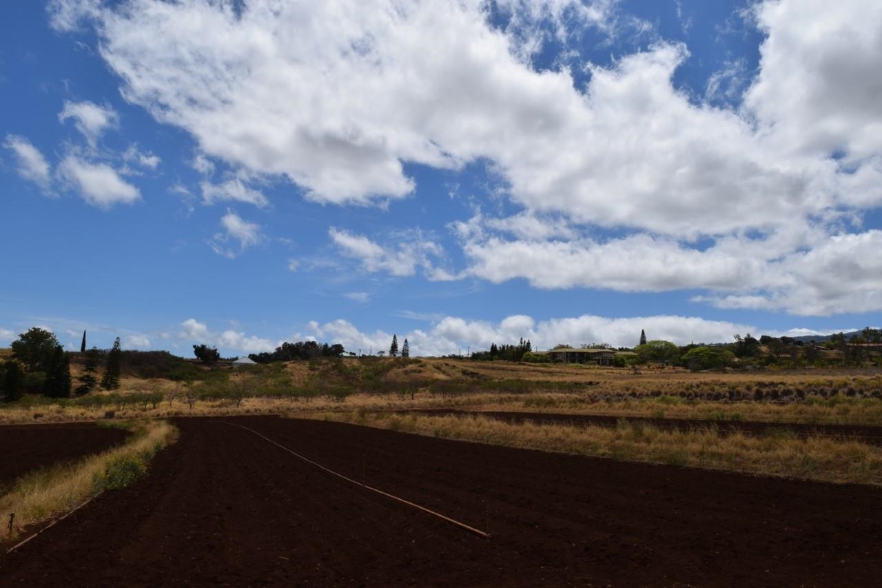 0 Omaopio Road Kula, HI 96790 - Photo 11 of 19