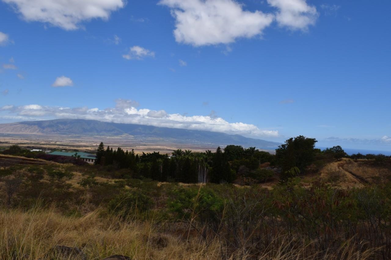 0 Omaopio Road Kula, HI 96790 - Photo 12 of 19