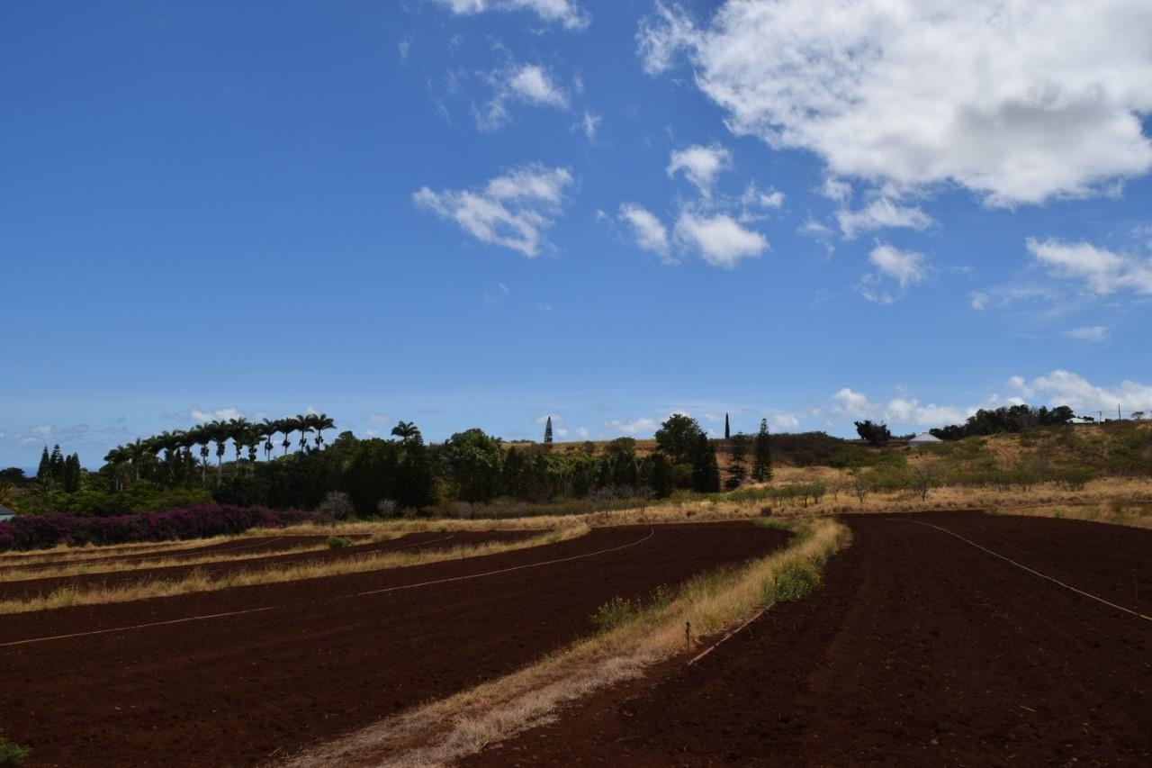 0 Omaopio Road Kula, HI 96790 - Photo 13 of 19