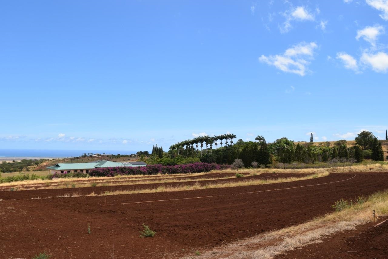 0 Omaopio Road Kula, HI 96790 - Photo 14 of 19