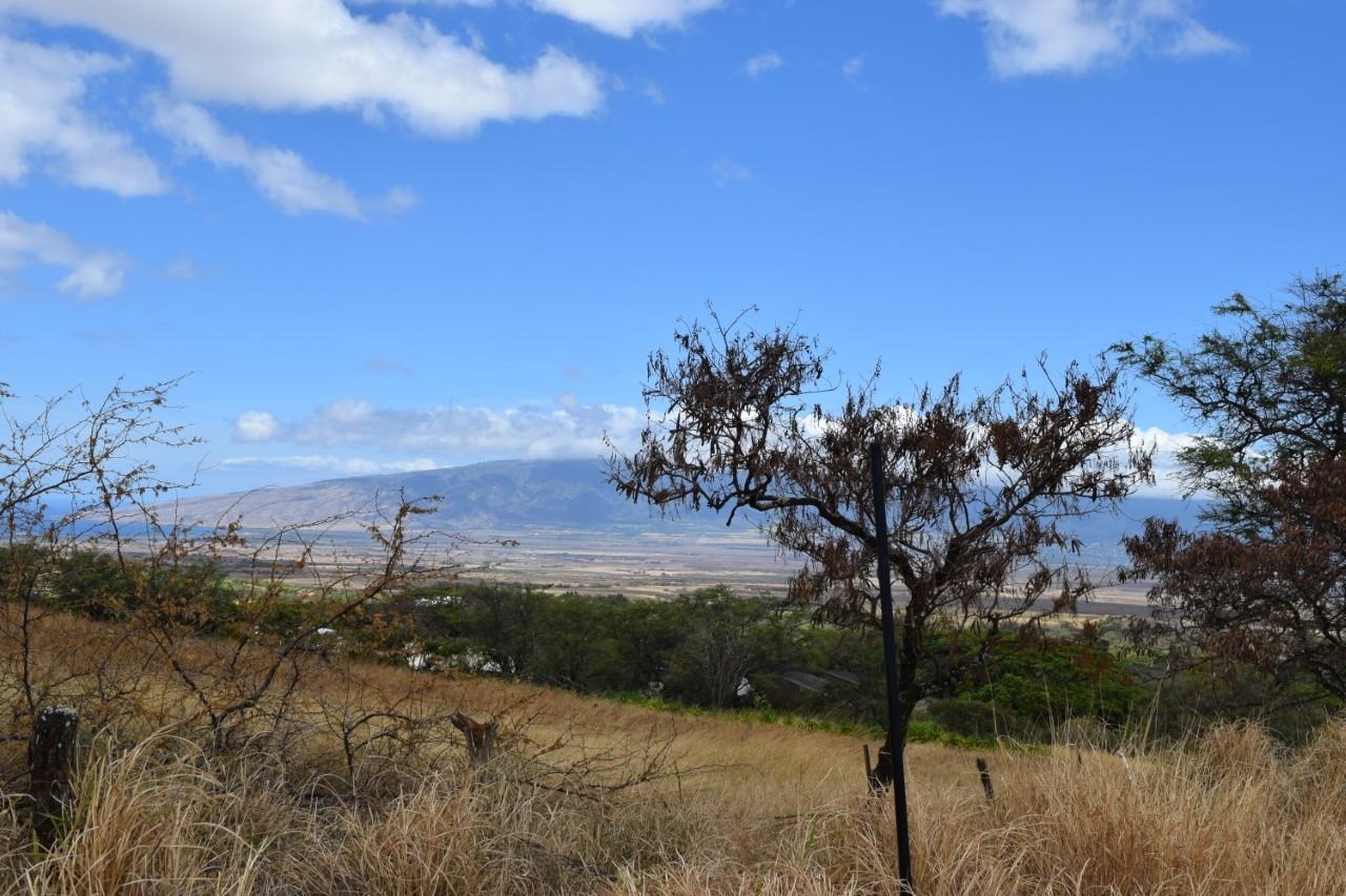 0 Omaopio Road Kula, HI 96790 - Photo 16 of 19