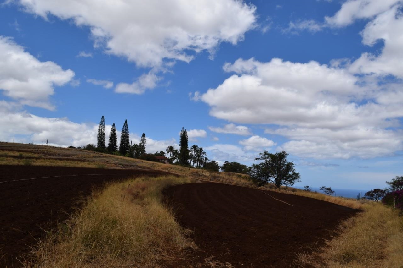 0 Omaopio Road Kula, HI 96790 - Photo 18 of 19
