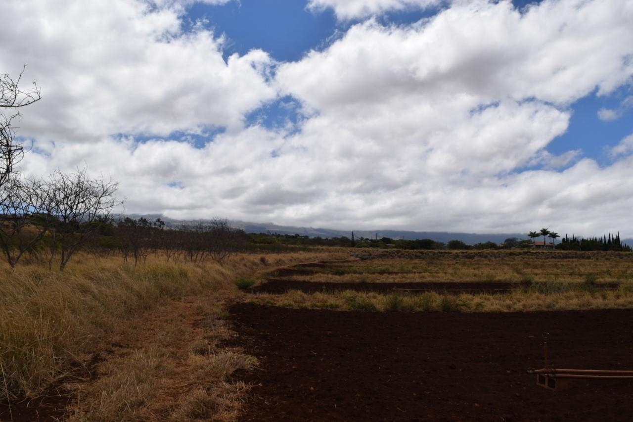 0 Omaopio Road Kula, HI 96790 - Photo 19 of 19