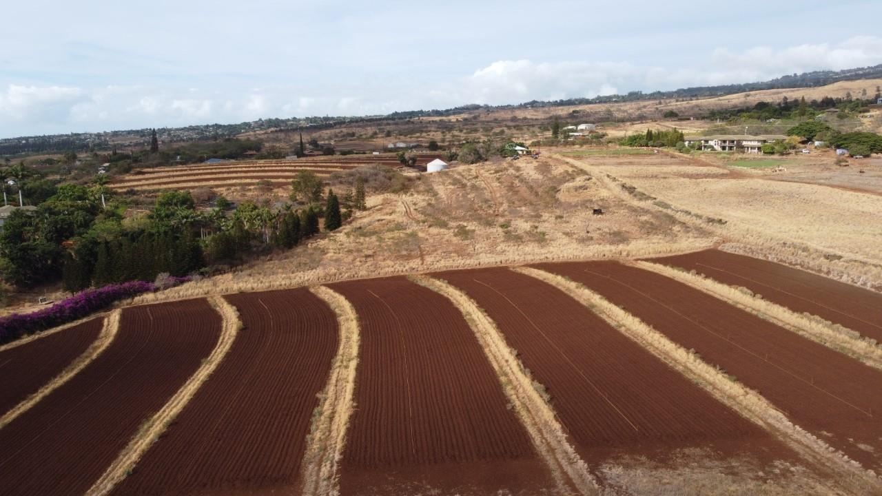 0 Omaopio Road Kula, HI 96790 - Photo 3 of 19