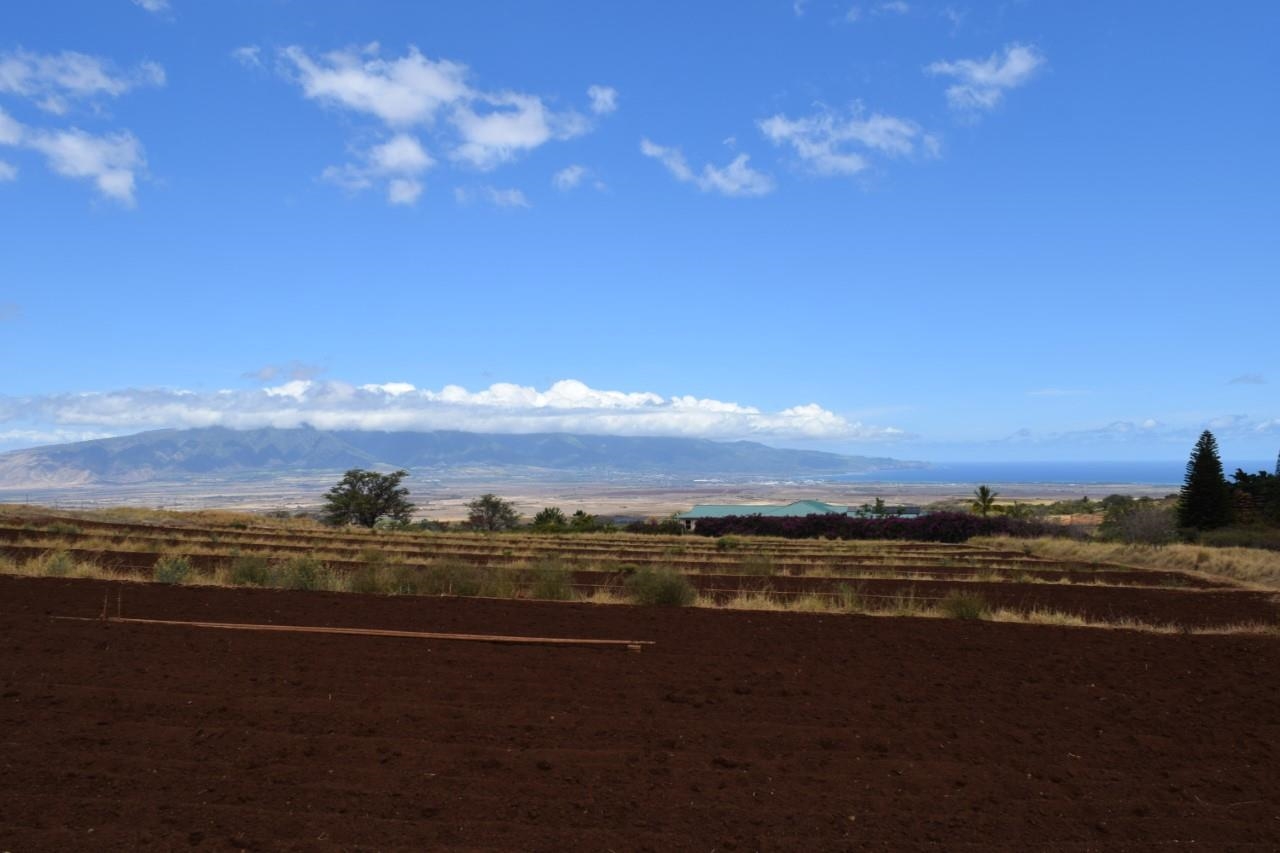 0 Omaopio Road Kula, HI 96790 - Photo 5 of 19