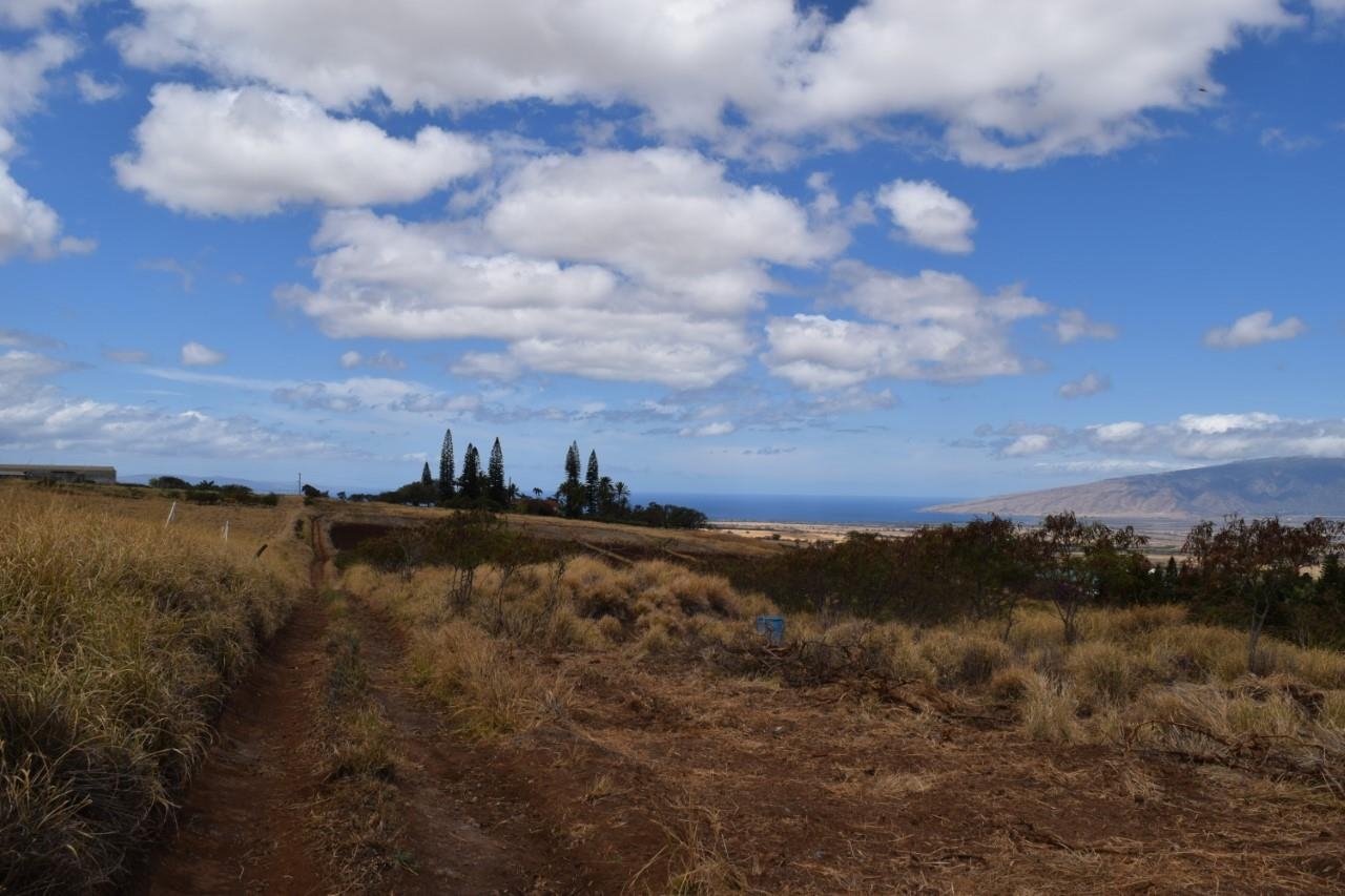 0 Omaopio Road Kula, HI 96790 - Photo 6 of 19