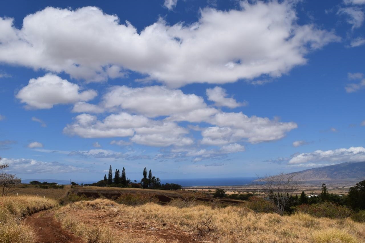 0 Omaopio Road Kula, HI 96790 - Photo 7 of 19