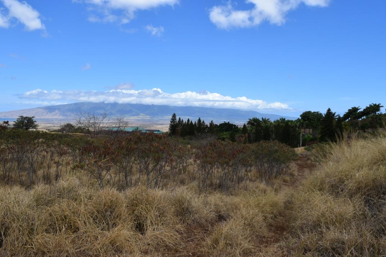 0 Omaopio Road Kula, HI 96790 - Photo 8 of 19