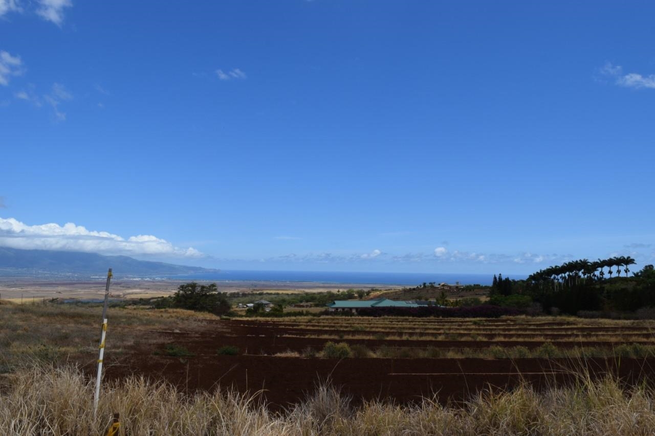 0 Omaopio Road Kula, HI 96790 - Photo 9 of 19