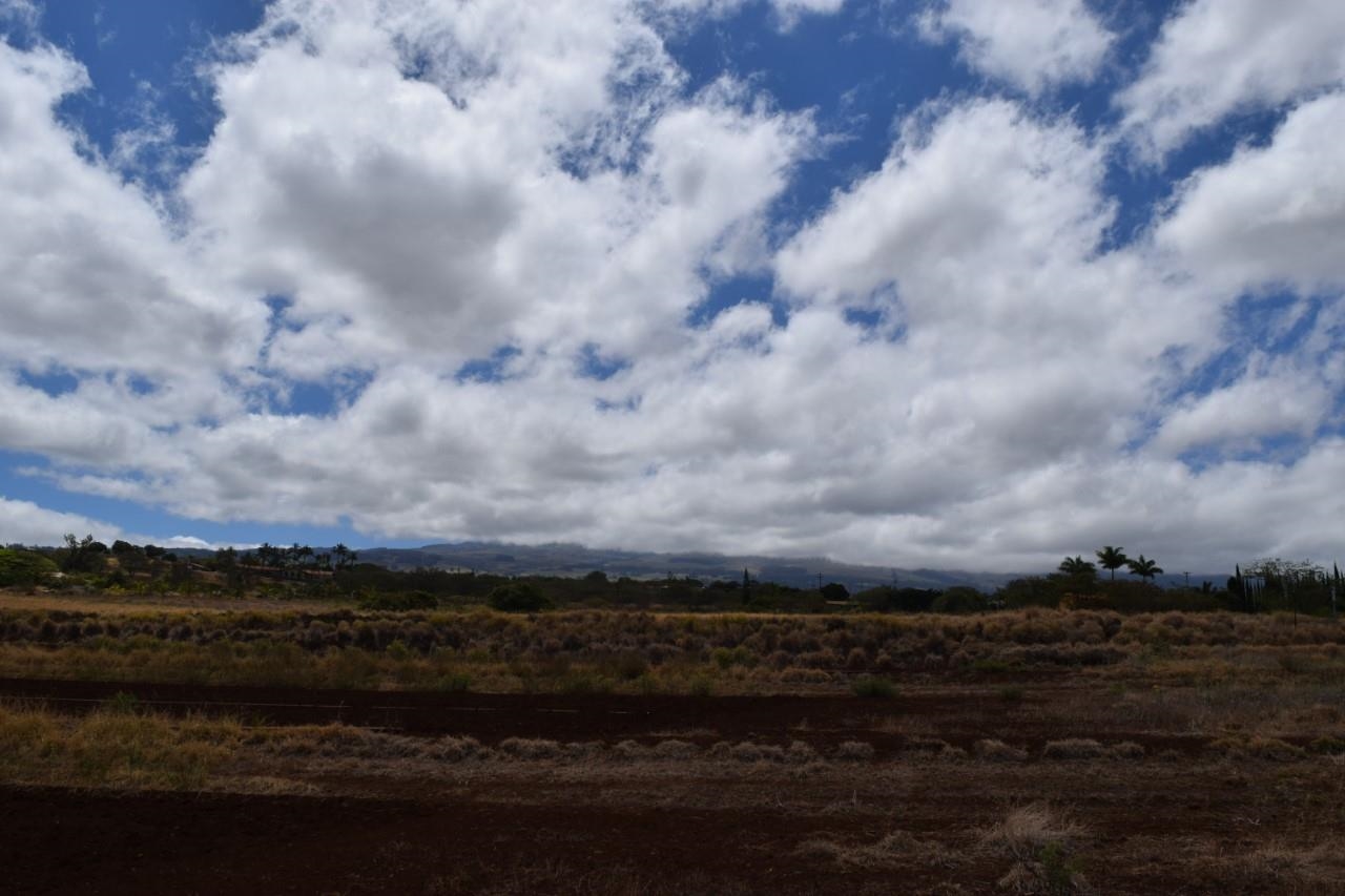 0 Omaopio Road Kula, HI 96790 - Photo 10 of 19