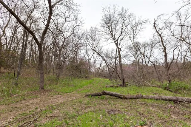 $279,000 | Highway N Highway, Humansville, MO 65674