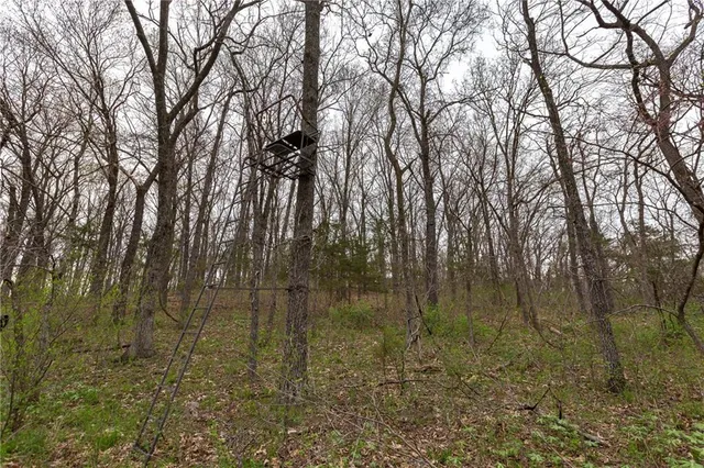 $279,000 | Highway N Highway, Humansville, MO 65674