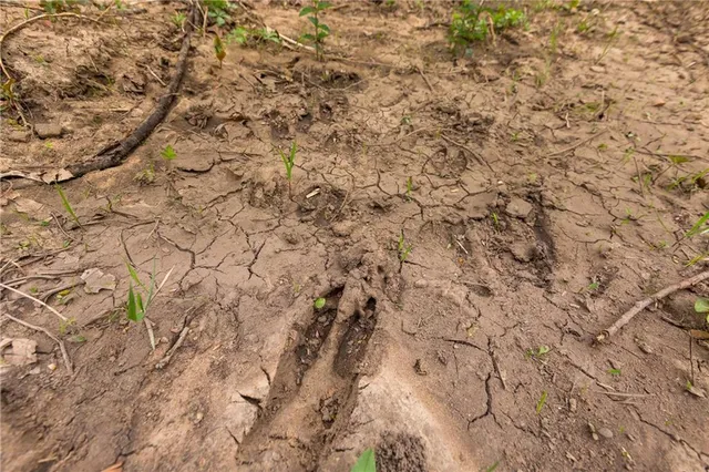 $279,000 | Highway N Highway, Humansville, MO 65674