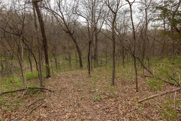 $279,000 | Highway N Highway, Humansville, MO 65674