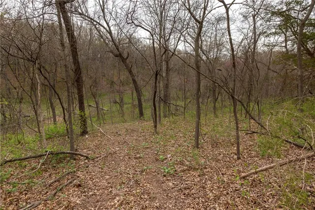 $279,000 | Highway N Highway, Humansville, MO 65674