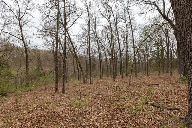 $279,000 | Highway N Highway, Humansville, MO 65674