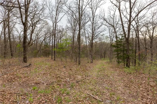 $279,000 | Highway N Highway, Humansville, MO 65674