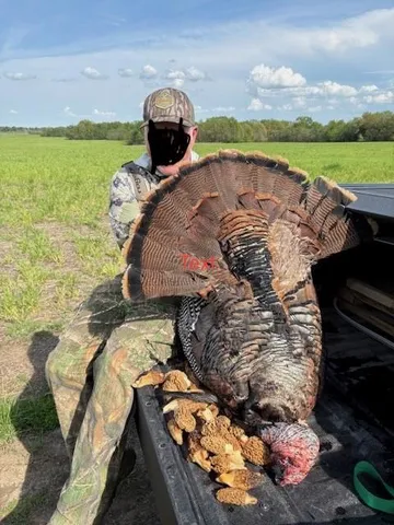 $279,000 | Highway N Highway, Humansville, MO 65674