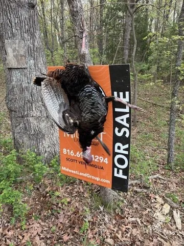 $279,000 | Highway N Highway, Humansville, MO 65674