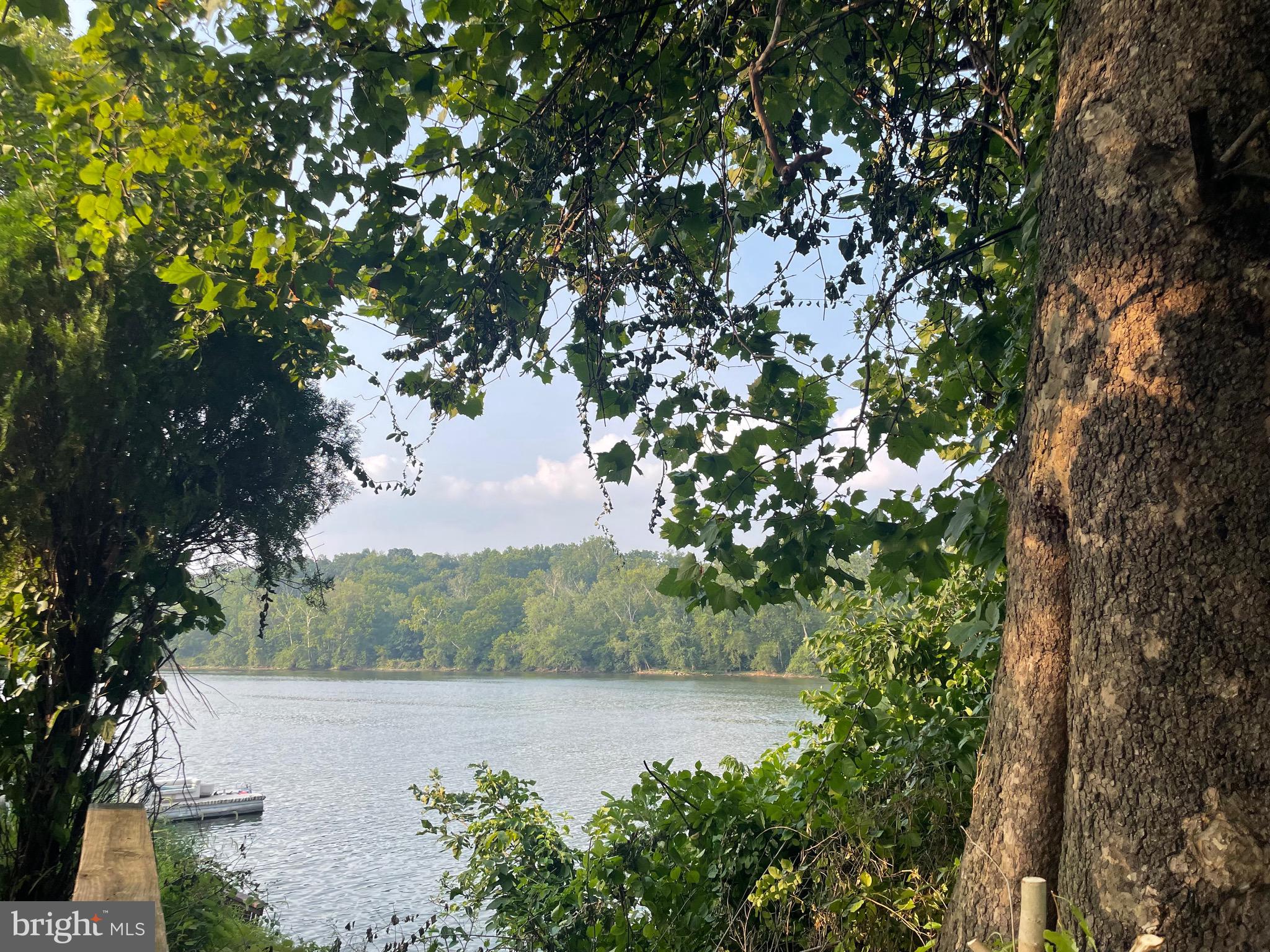 42 Boo Boo Boulevard Falling Waters, WV 25419 - Photo 2 of 24 a view of lake with green space