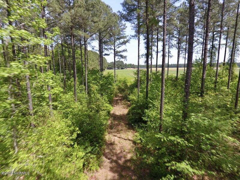 33-ac Tedder Road Lucama, NC 27851 - Photo 24 of 33 23