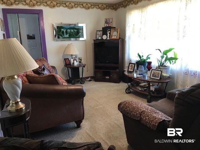 1176 County Road 22 Evergreen, AL 36401 - Photo 3 of 15 Living Room