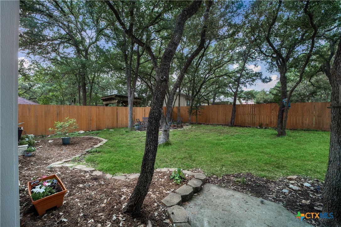 103 Sierra Ridge Drive San Marcos, TX 78666 - Photo 38 of 43 a backyard of a house with lots of green space