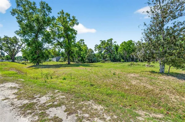 a view of a field with trees in the background