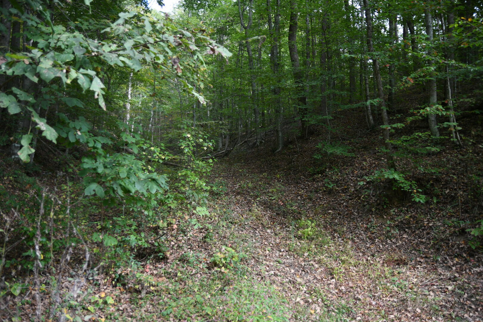 0 Van Hill Road Greeneville, TN 37745 - Photo 8 of 10 EF5EA77A-5FF5-4B37-8679-4C3CC2727107