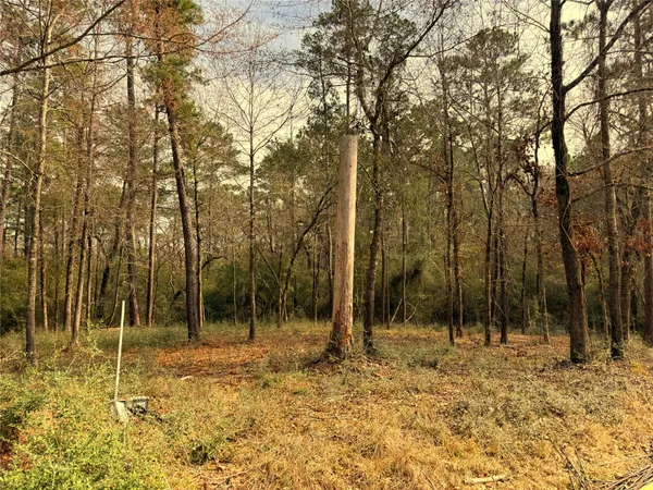 a view of outdoor space with trees