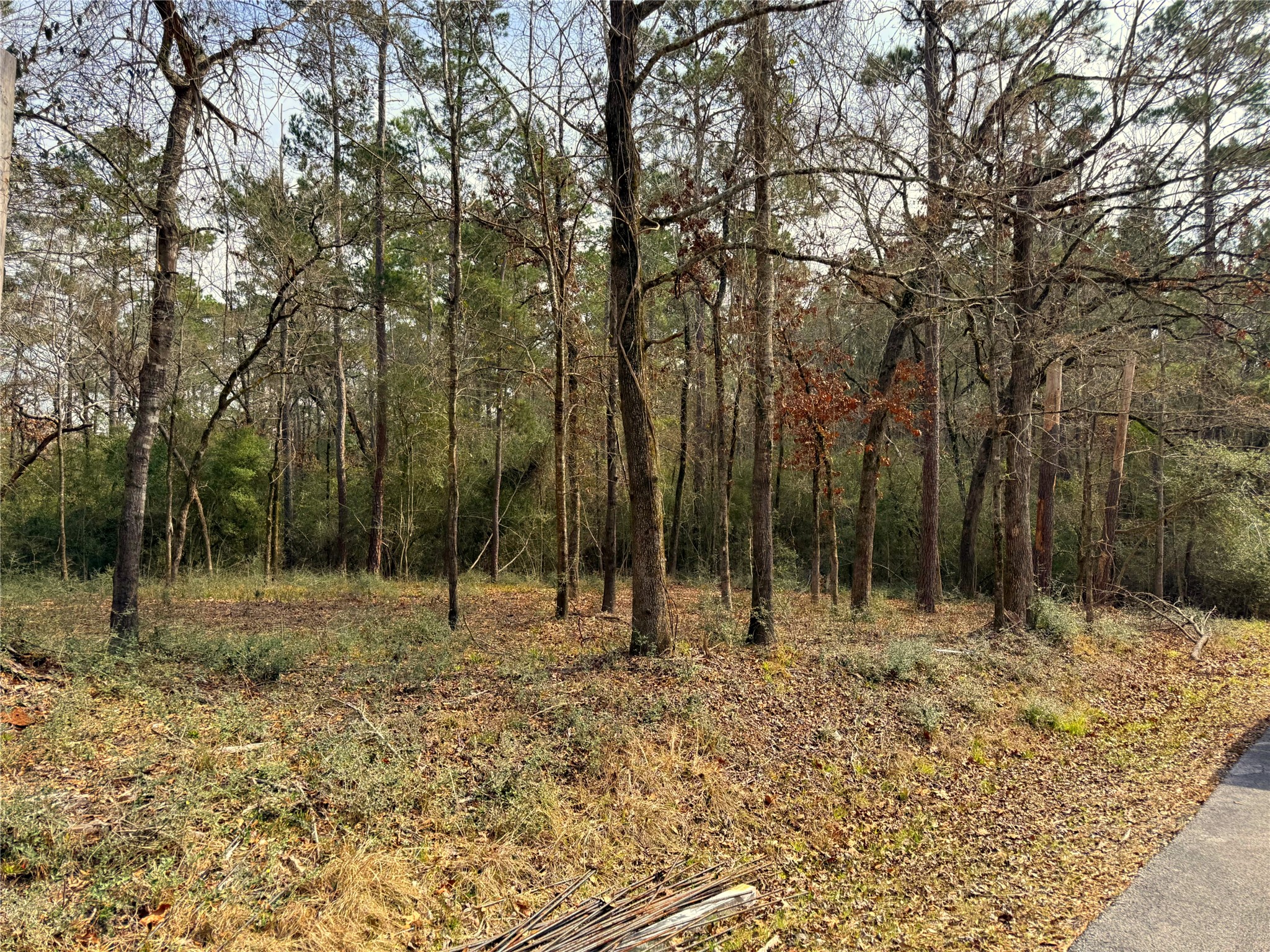 195 Walnut Circle Trinity, TX 75862 - Photo 5 of 6 a view of outdoor space with trees