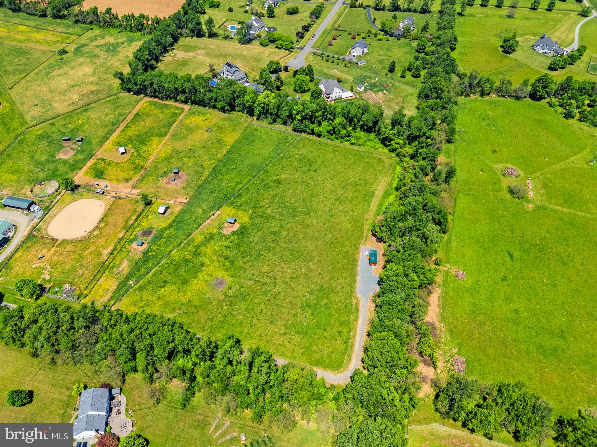 0 Morrisonville Road Lovettsville, VA 20180 - Photo 7 of 31 a view of a large yard with plants and large trees