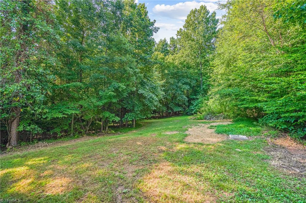 2912 Pheasant Run Road Haw River, NC 27258 - Photo 14 of 16 Back Yard