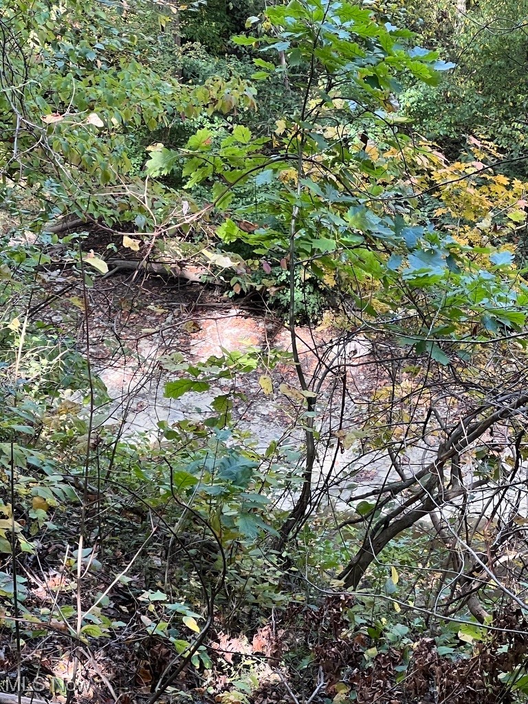 11331 Palmer Road Painesville, OH 44077 - Photo 41 of 47 View of nature