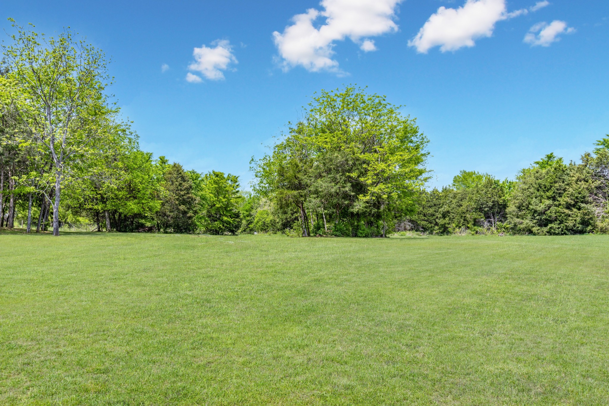 10410 Canoe Branch Road Castalian Springs, TN 37031 - Photo 45 of 59 Gallery Image 45