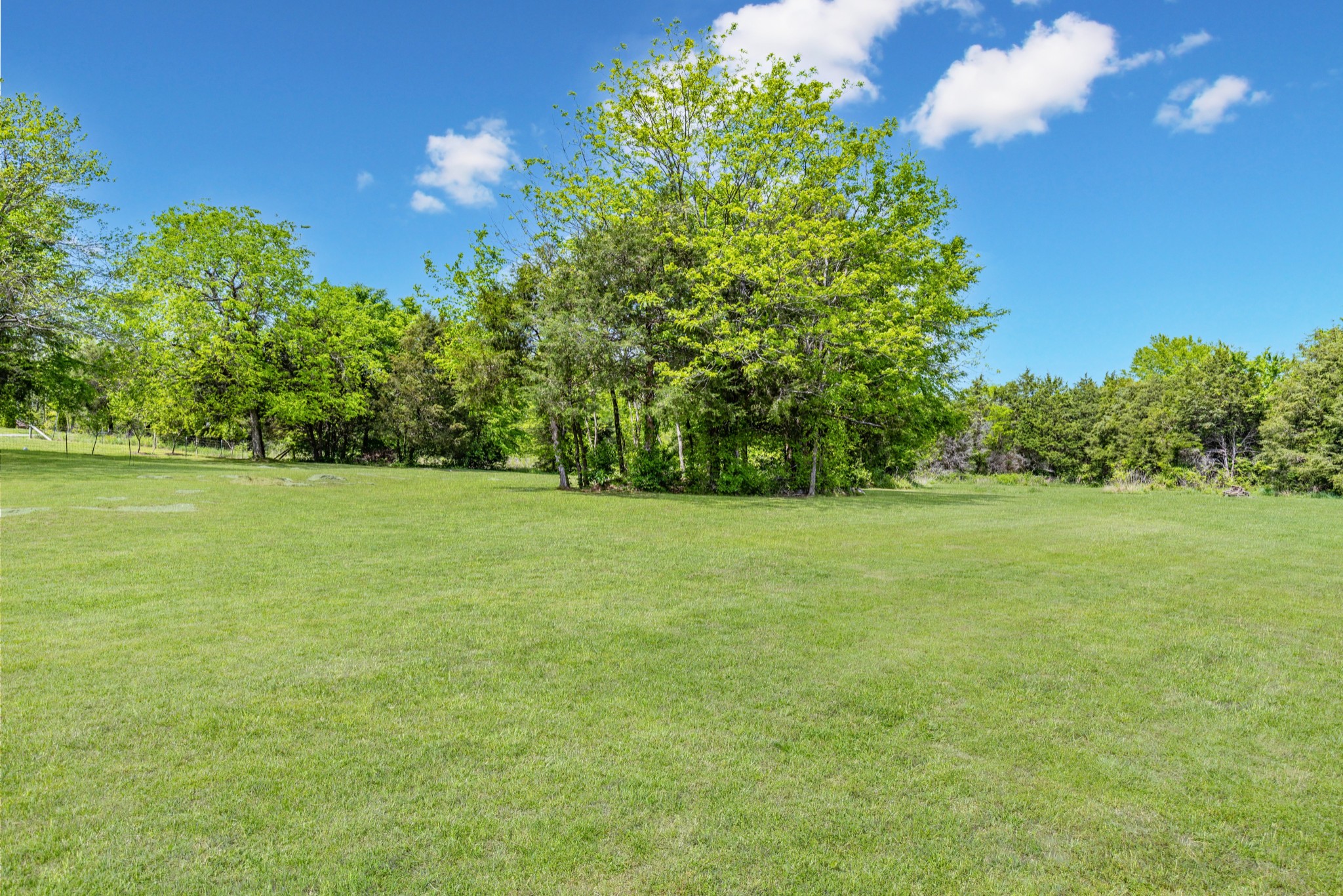 10410 Canoe Branch Road Castalian Springs, TN 37031 - Photo 46 of 59 Gallery Image 46